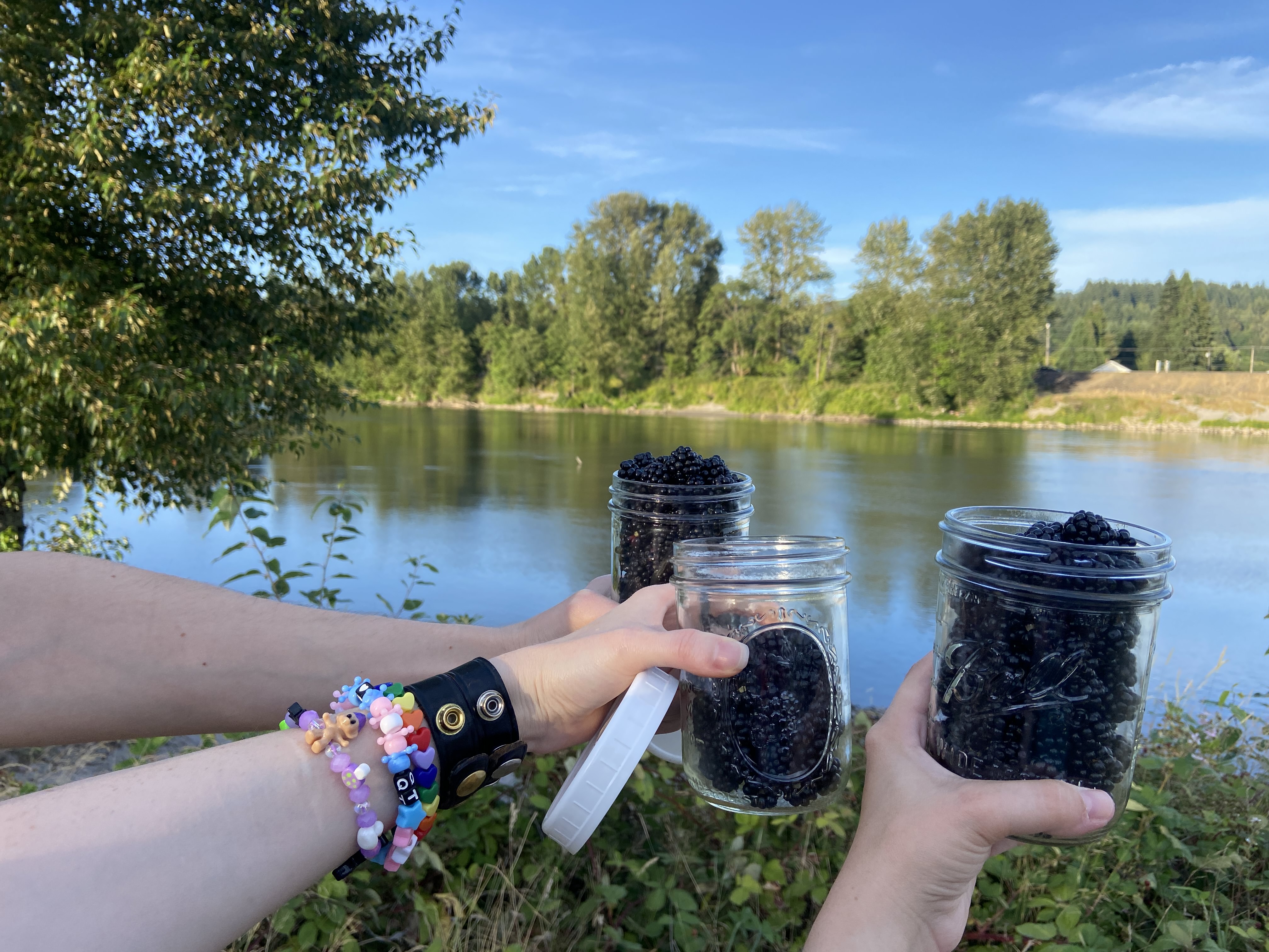 3 hands holding glass jars of blackberries, in front of a beautiful wide river scene. there are trees across the river and the sky is blue and reflecting with the trees in the river. the 3 hands belong to 3 best friends picking blackberries