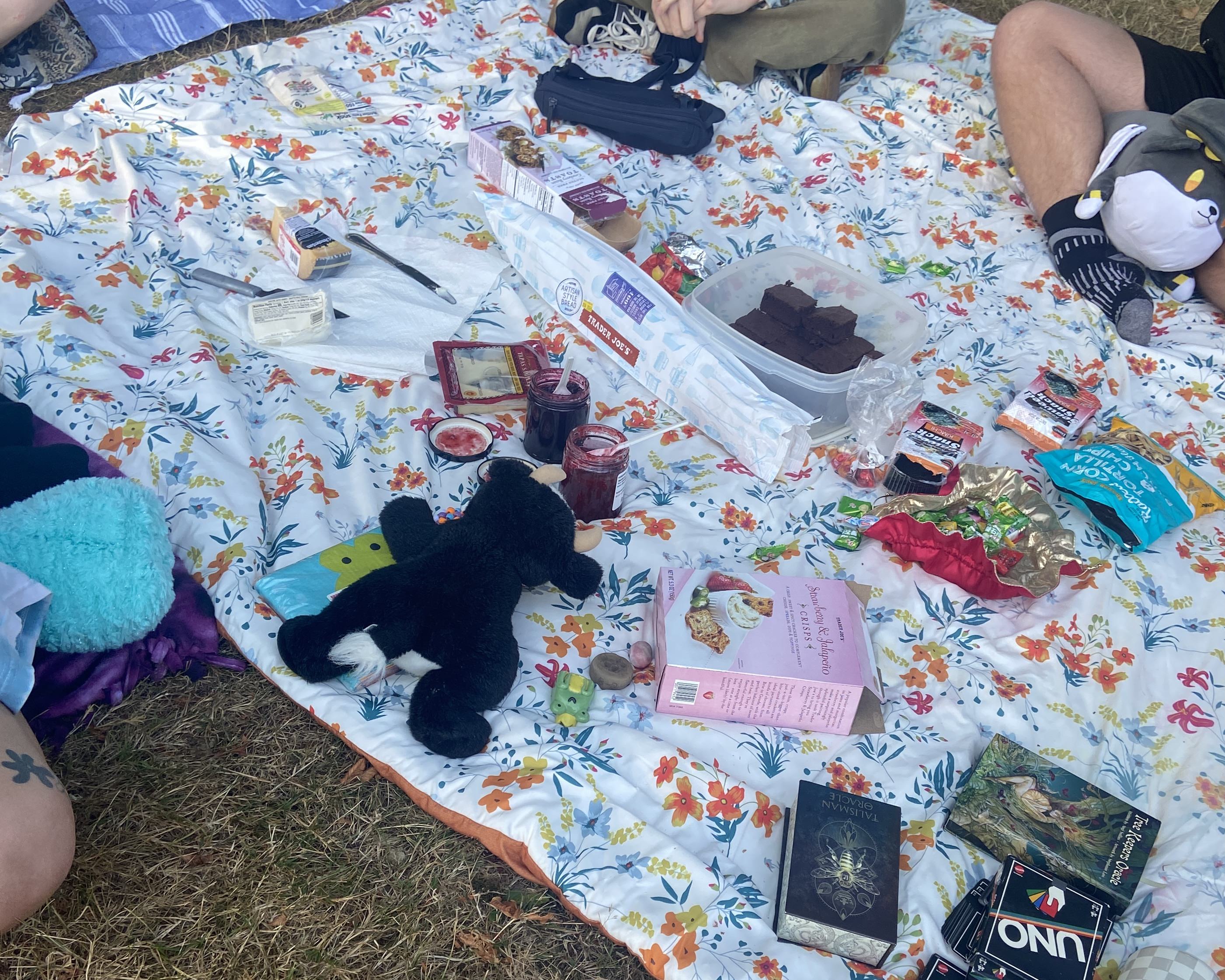 Floral blanket covered with friends, brownies, jams, snacks, games, cards, stuffed animals, and LOVE